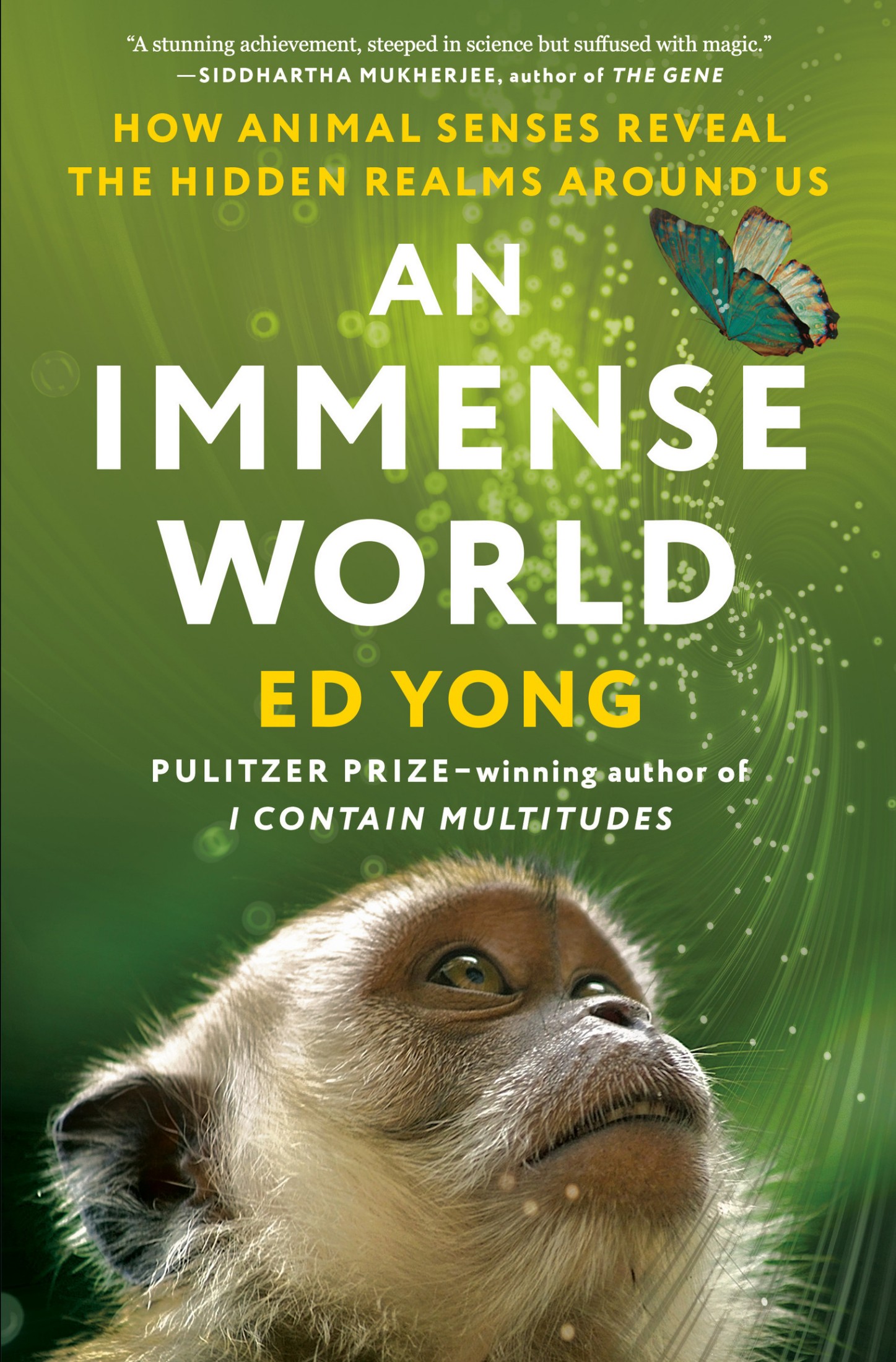 Immense World : How Animal Senses Reveal the Hidden Realms Around Us